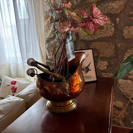 Luna De Gredos * Pedro Bernardo