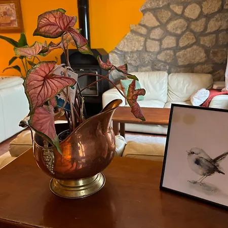 Luna De Gredos * Pedro Bernardo