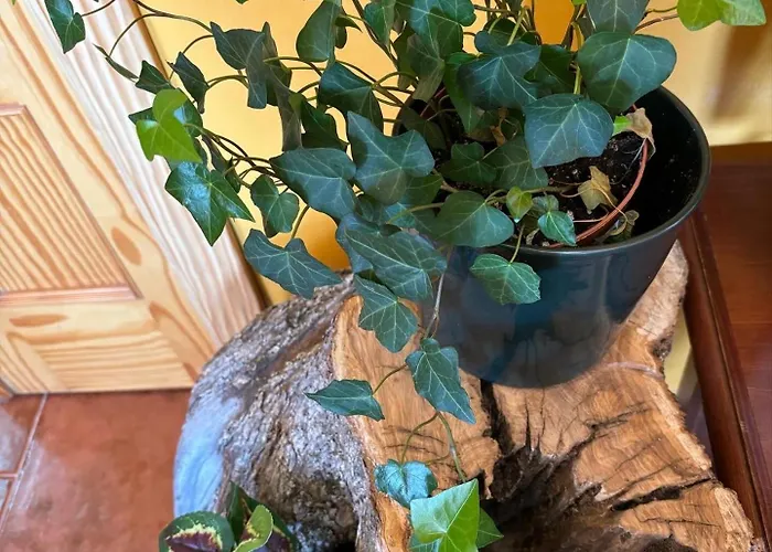 Luna De Gredos - Con Bano En *